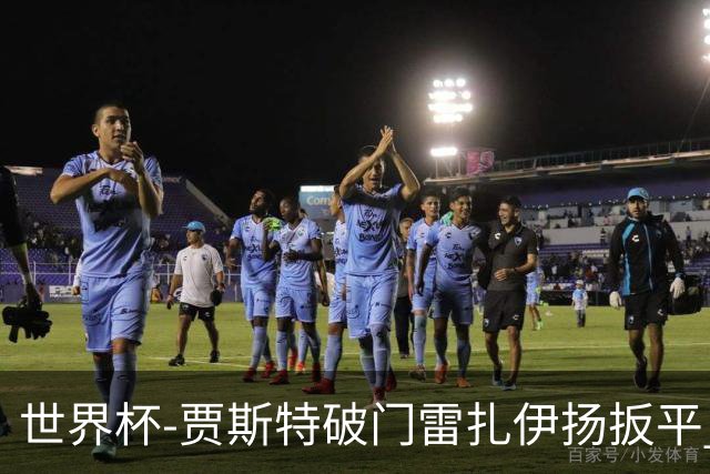 世界杯-贾斯特破门雷扎伊扬扳平 半场伊朗1-1新西兰