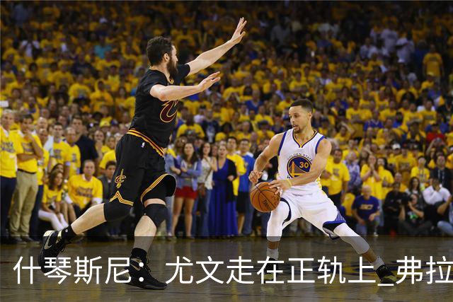 什琴斯尼：尤文走在正轨上 弗拉霍维奇非常出色