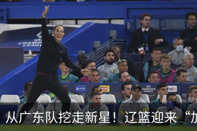 从广东队挖走新星！辽篮迎来“加强版杜润旺”，杜锋失去锋线人才